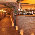 Wine Cellar in Svaty Jur